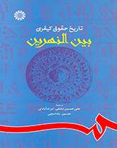 تاریخ حقوق کیفری بین‌النهرین